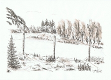 blæk-2