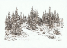 blæk-3