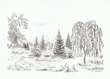 blæk-5