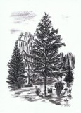 kul-tegning-10
