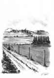 kul-tegning-8