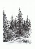 tusch-3