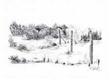 ttusch-9