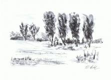 tusch-16